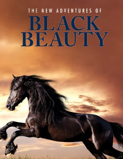 1992 The New Adventures of Black Beauty