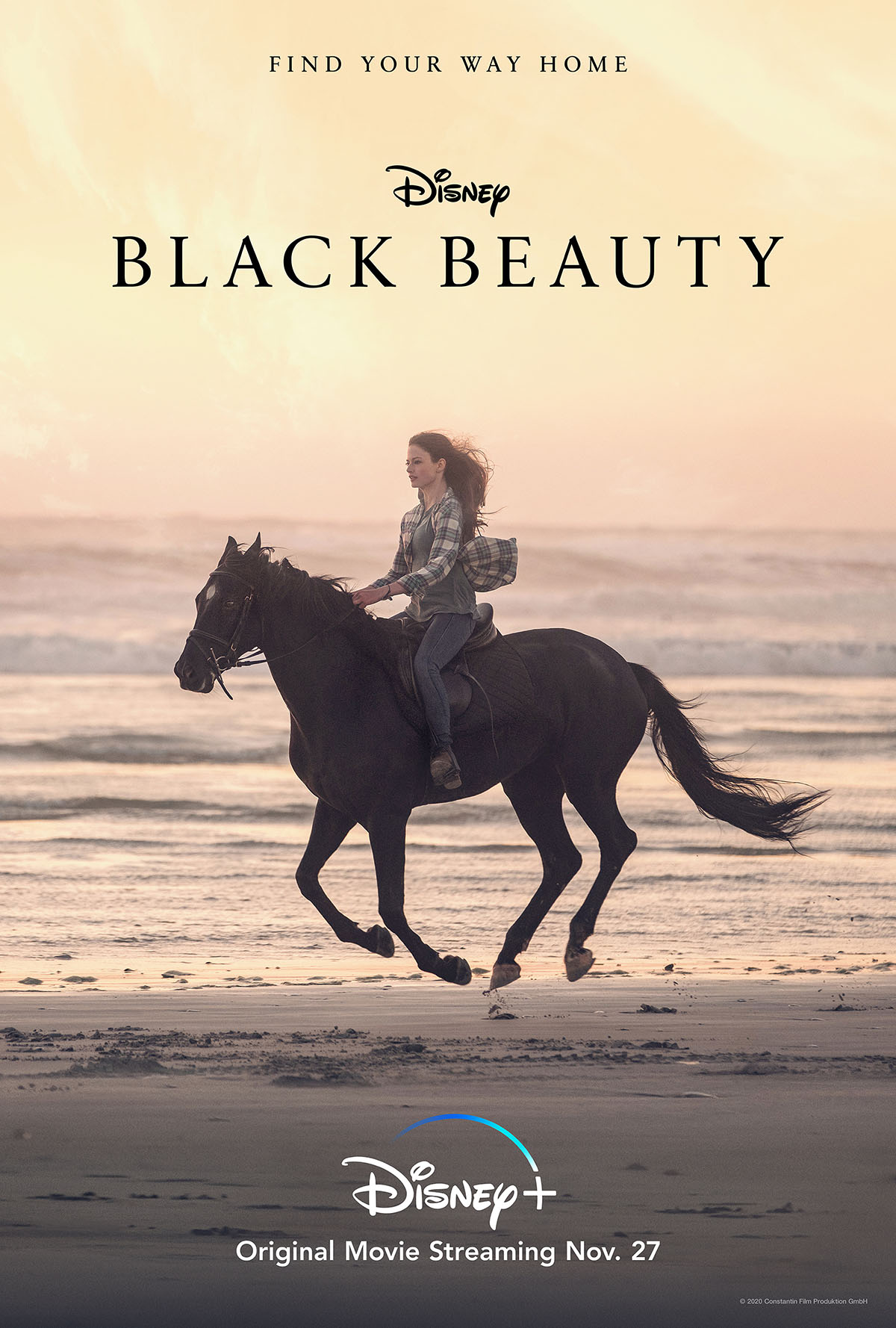 Disney's Black Beauty Film Cover - Cody Rawson-Harris was the expert movie horse trainer for this film.
