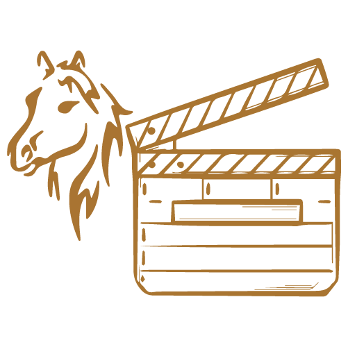 Training animals for film and TV