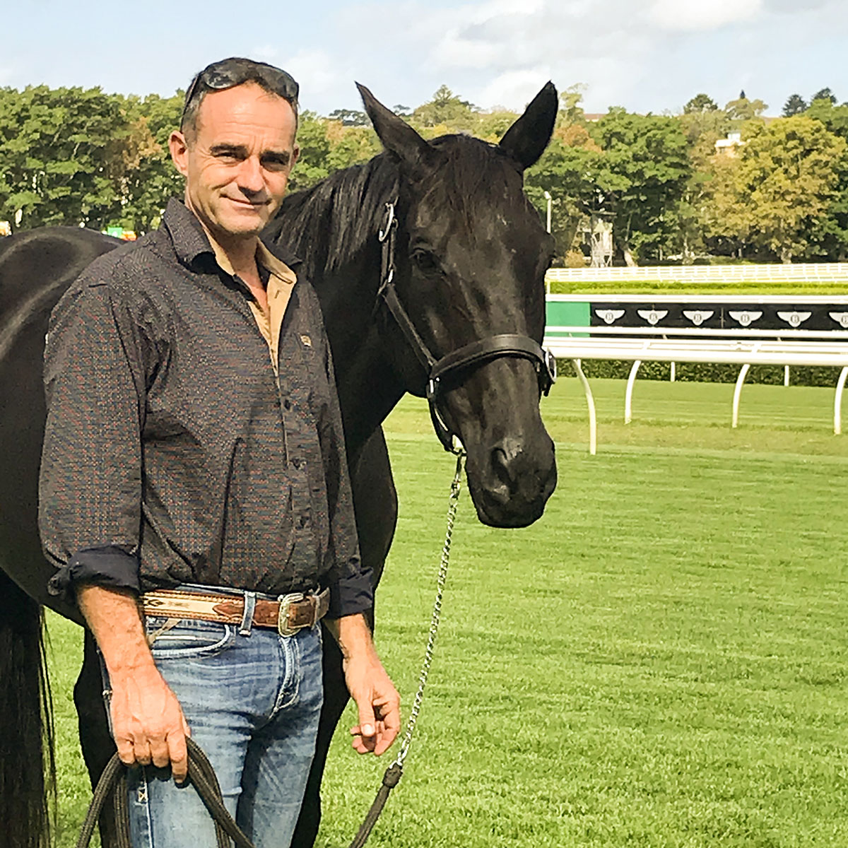 Expert Animal Trainer with Horse